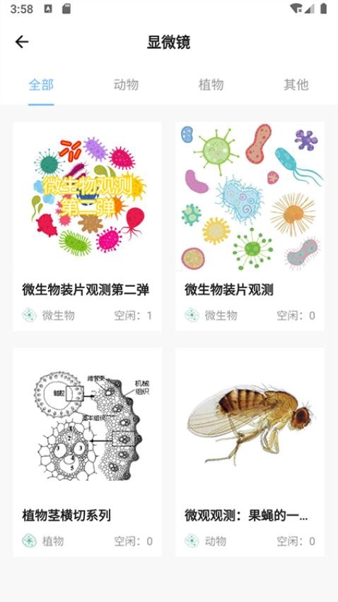 宝堆(4)