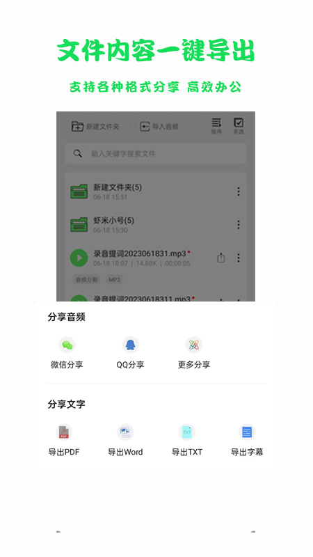 语音转文字导出(3)