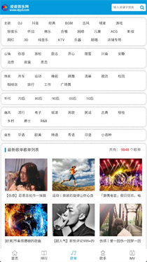 皮皮音乐网(3)