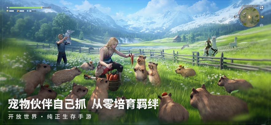 荒原曙光(3)