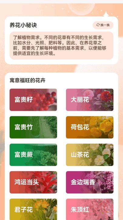 花瓣走路(3)