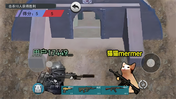 猫猫快来吃鸡(4)