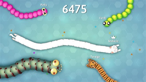 Snakeio(1)