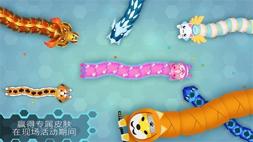 Snakeio(2)