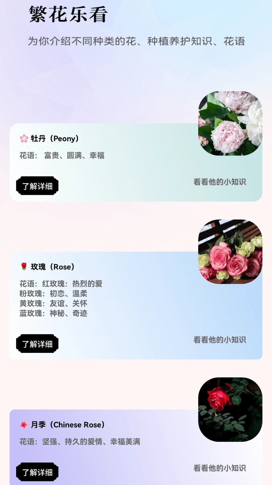 繁花乐看(4)
