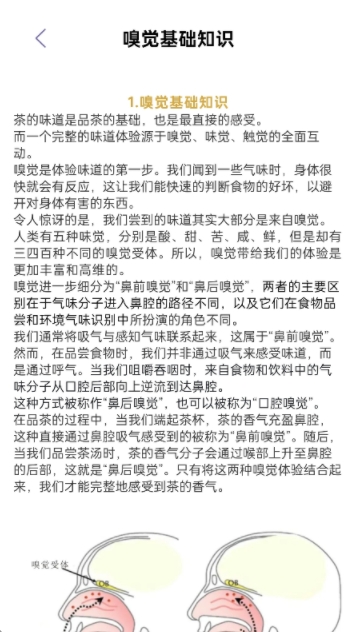 茶趣时光(1)