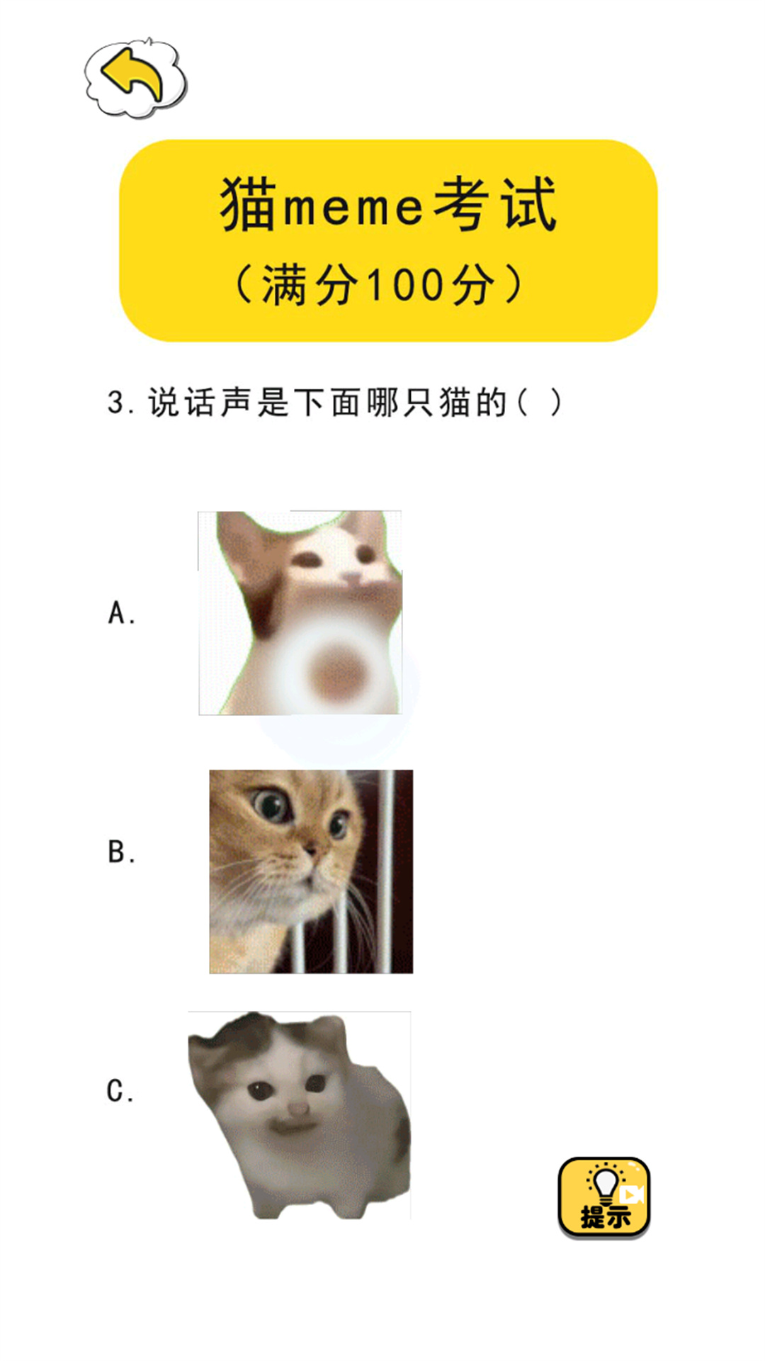 猫meme热梗(3)