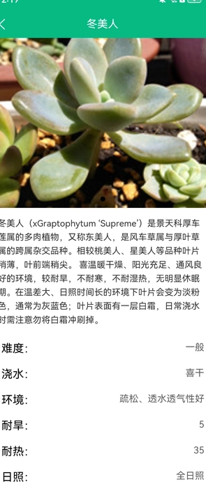 金澄花园(3)