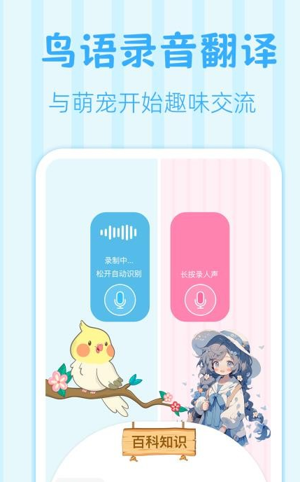 鸟语翻译王(3)
