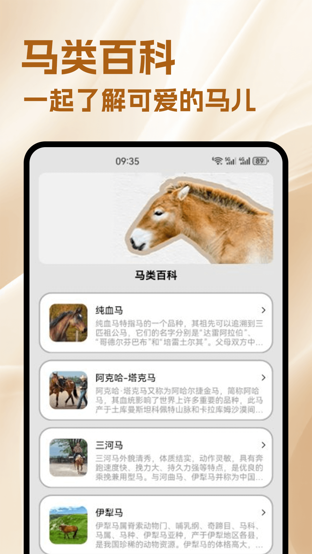 小马游戏世界(1)