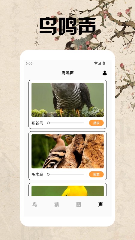 孤独的鸟类大全(1)