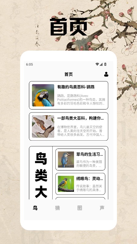 孤独的鸟类大全(2)