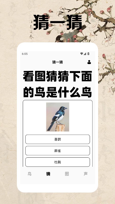 孤独的鸟类大全(4)