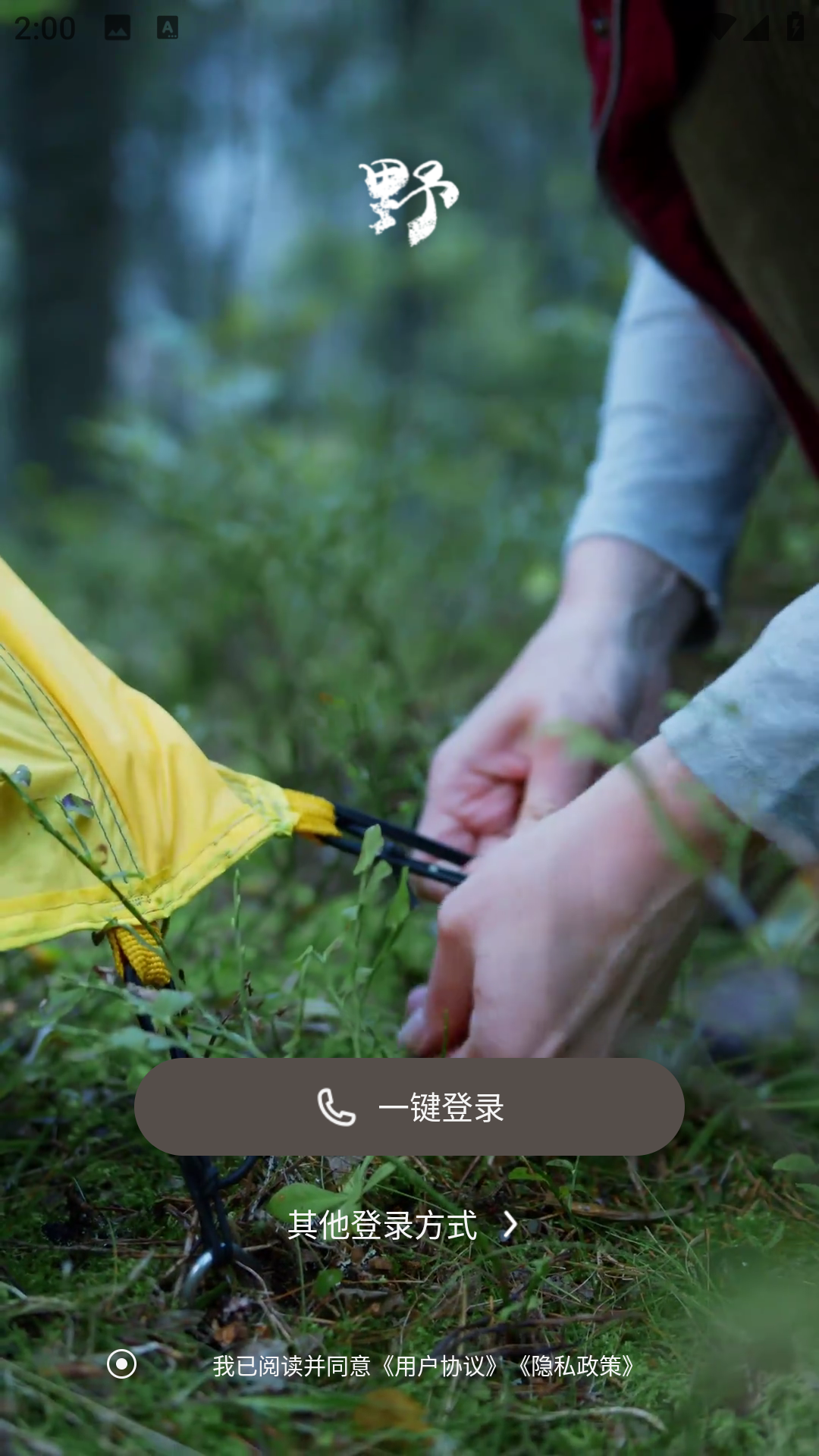 山野游(2)