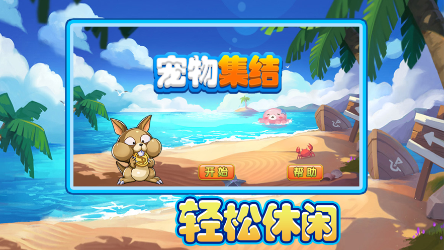 宠物集结(1)