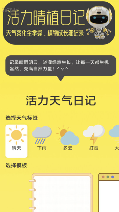 活力流量王(2)
