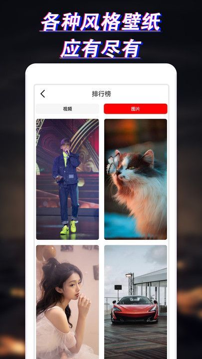 布丁壁纸大全(4)