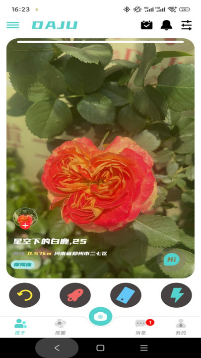 搭聚(2)