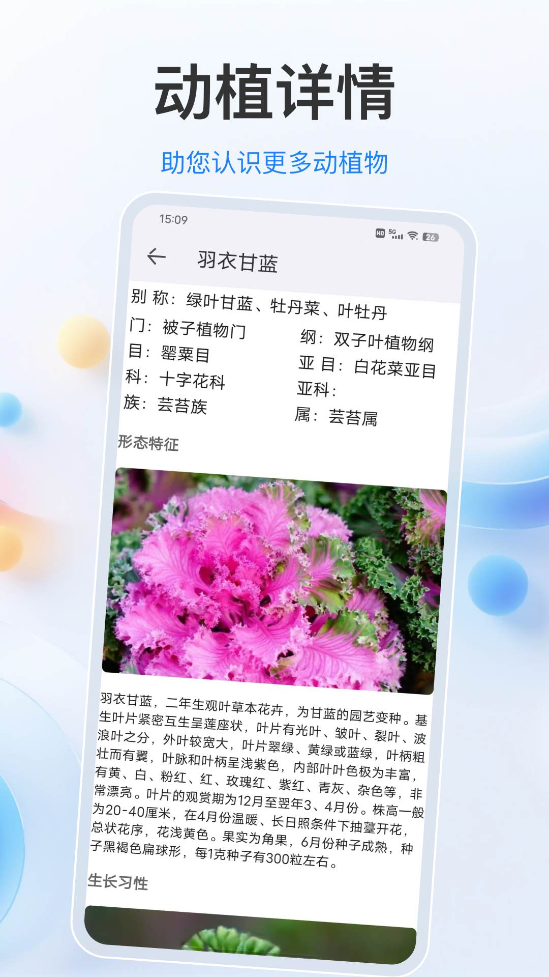 识别动物(1)