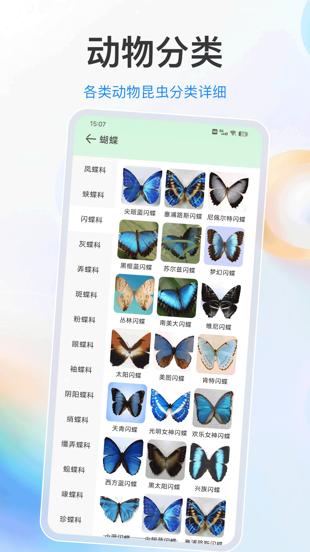识别动物(2)