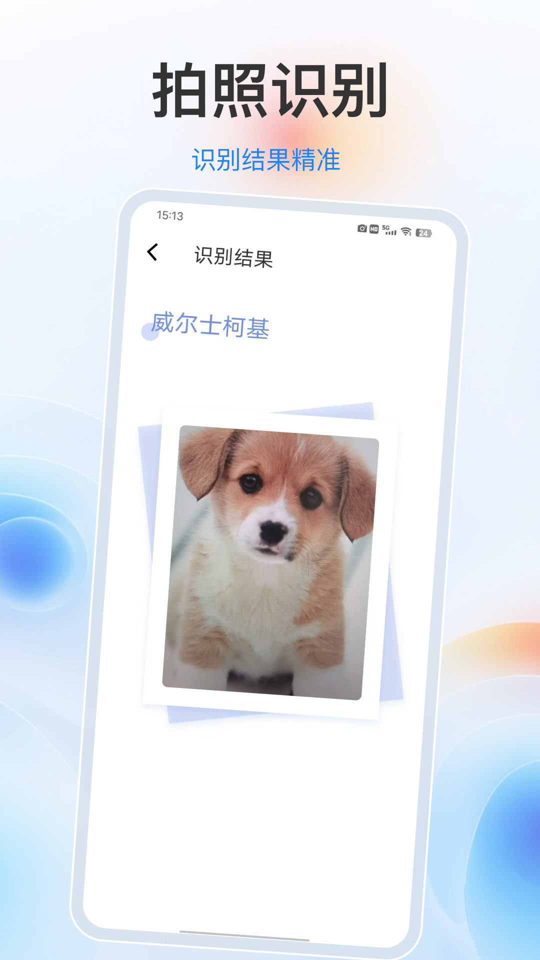 识别动物(3)