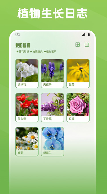 秀花时光(2)