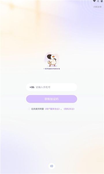 锅锅电竞(4)
