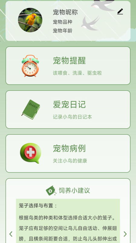 鸟语星球(4)