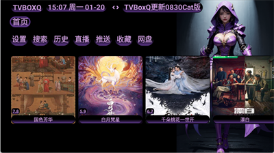 TVBoxQ版(1)