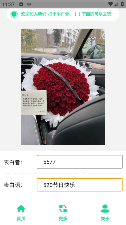 520束玫瑰花图(2)
