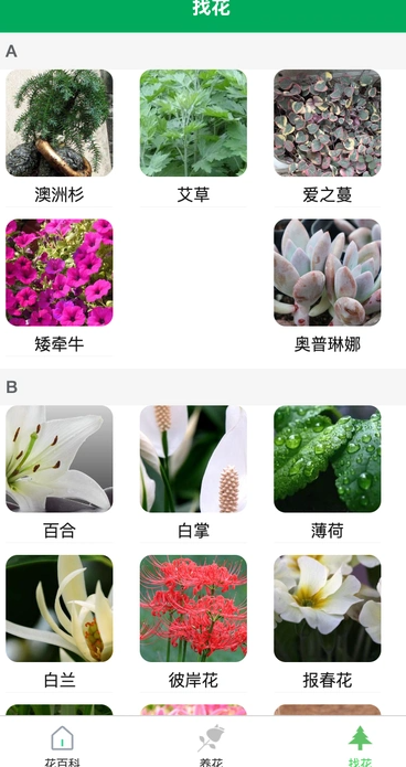 润天花园(2)