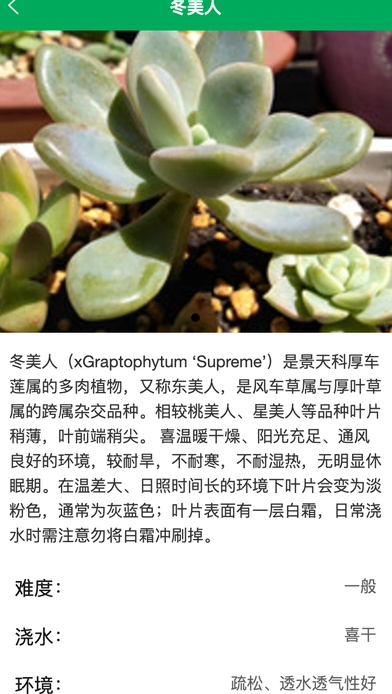 润天花园(4)
