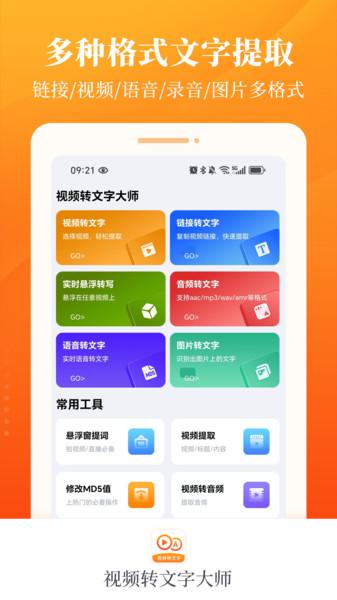 视频转文字大师(4)
