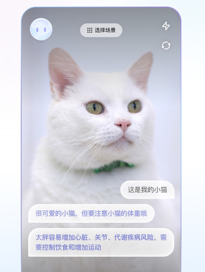 商汤商量(4)