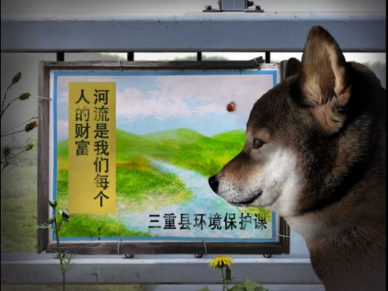 翌日波奇狗的历险记(1)