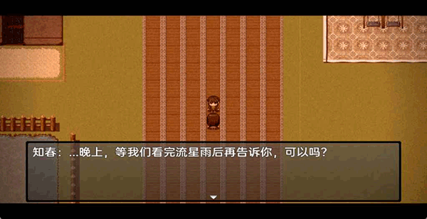 流星降临的小镇来自过去的幽灵(1)