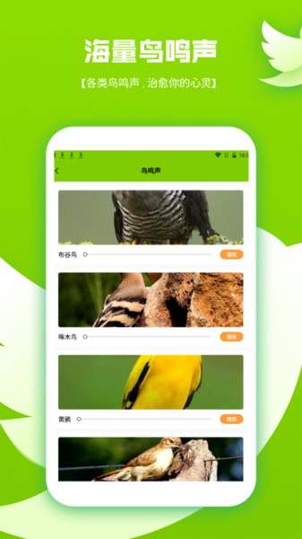 鸟语翻译器pro(2)