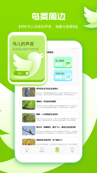 鸟语翻译器pro(3)