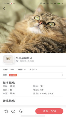 萌宠行星(3)