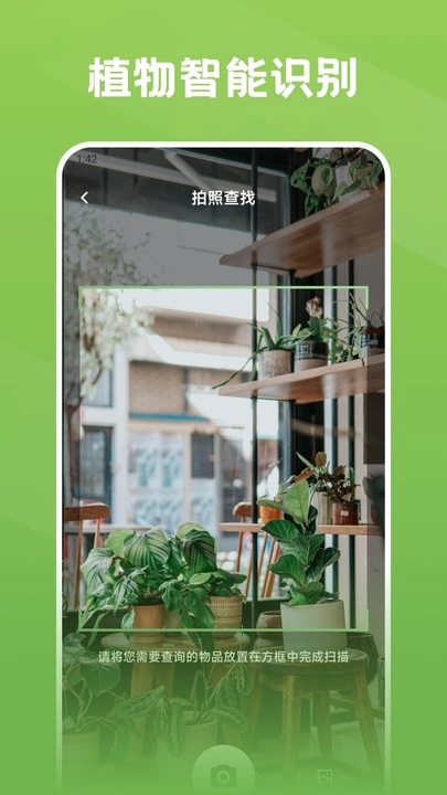 秀花(1)