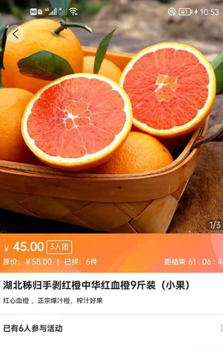瑶光生态(2)