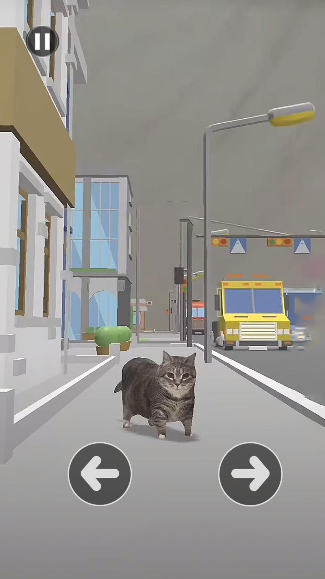 小猫过马路(1)