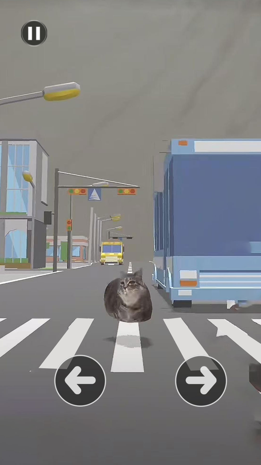 小猫过马路(4)