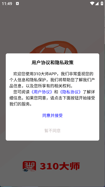 310大师(5)