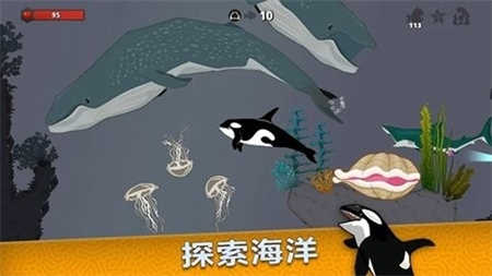 皇家鱼(3)