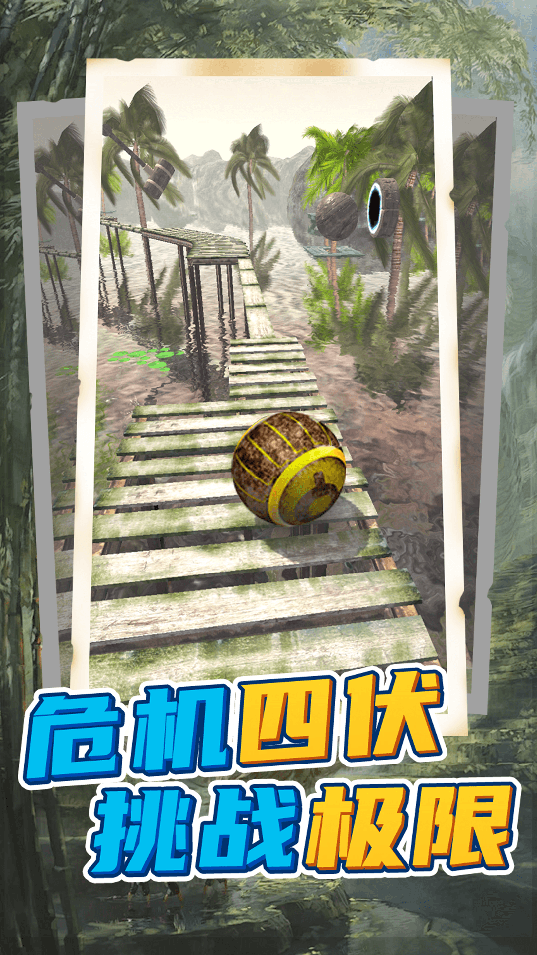 球球回家(2)