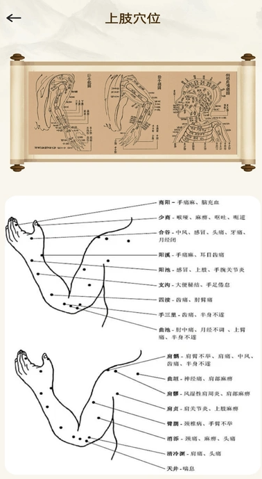 经络穴位图释(2)