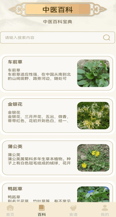 经络穴位图释(3)
