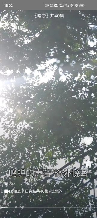 他聚(4)