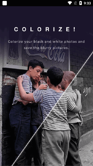 Colorizer(3)